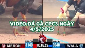 da-ga-cpc3-4-5-2025