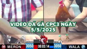 da-ga-cpc3-5-5-2025
