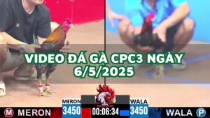 da-ga-cpc3-6-5-2025