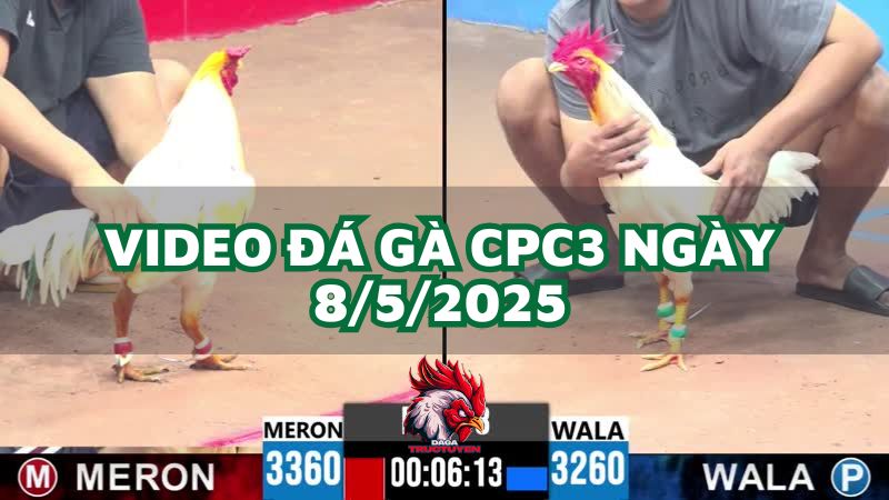 da-ga-cpc3-8-5-2025