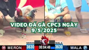 da-ga-cpc3-9-5-2025
