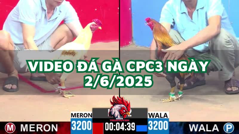 da-ga-cpc3-2-6-2025