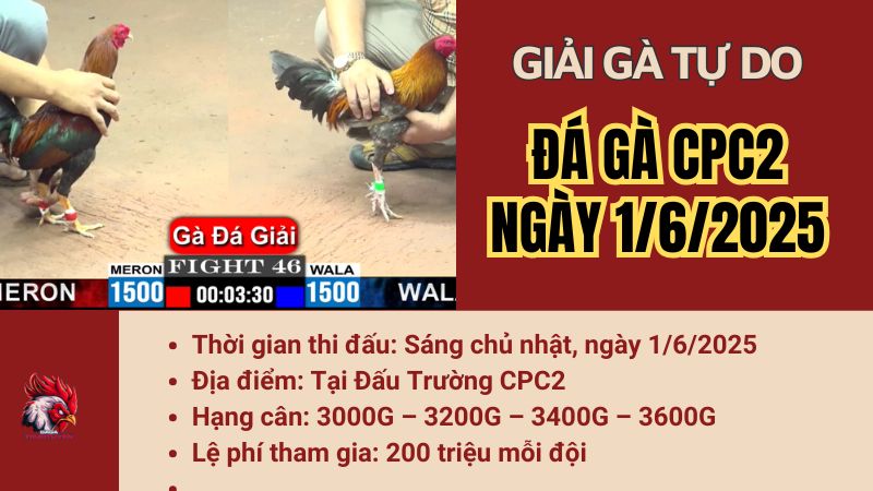 giai-cpc2-1-6-2025