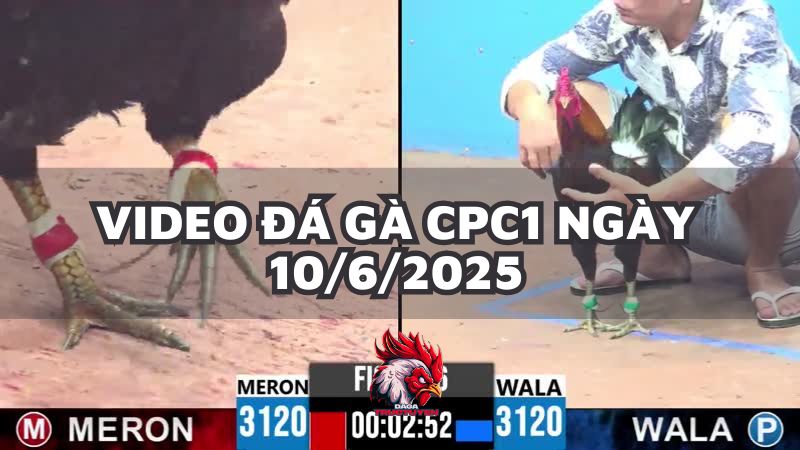 da-ga-cpc1-10-6-25
