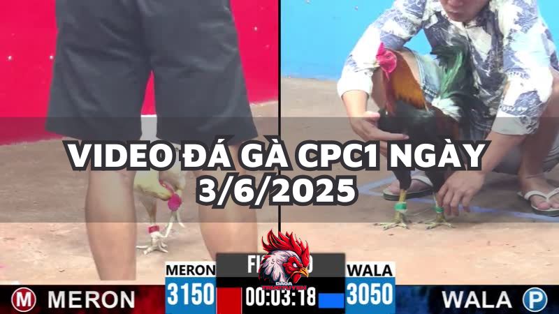 da-ga-cpc1-3-6-25