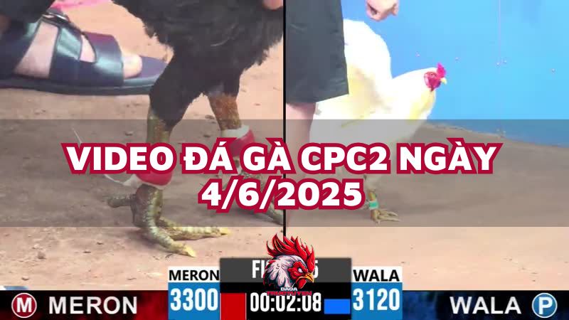 da-ga-cpc2-4-6-25