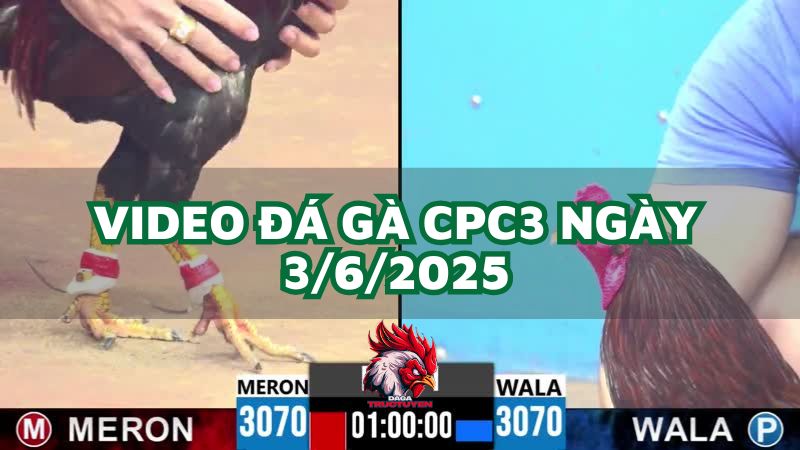 da-ga-cpc3-3-6-2025