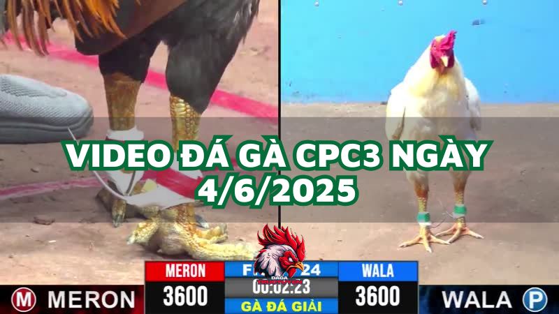 da-ga-cpc3-4-6-2025