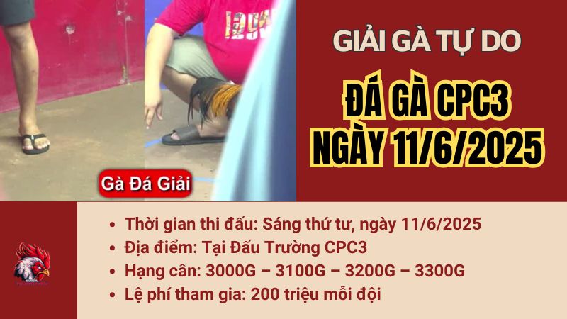 giai-cpc3-11-6-2025